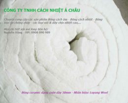 ceramıc fıber blanket – luyangwool employee photograph