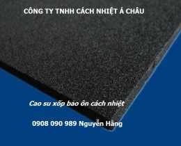 cac san pham thong dung cho cach am phong karaoke vu truong employee photograph
