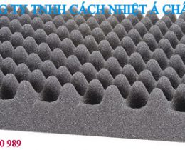 MÚT XỐP TRỨNG – PANELS FOAM ACCOUSTIC – MÚT HÌNH SỌT TRỨNG employee photograph