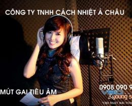 MÚT HỘT GÀ TIÊU ÂM CÁCH ÂM – MOUSSE TRỨNG GÀ employee photograph