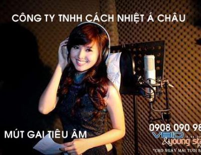 MÚT XỐP TRỨNG – PANELS FOAM ACCOUSTIC – MÚT HÌNH SỌT TRỨNG employee photograph