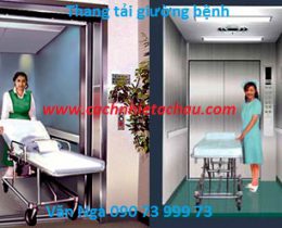 lắp đặt thang máy tảı hàng cho nhà máy sản xuất employee photograph