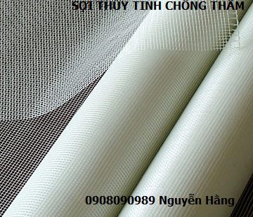 luoi thuy tinh chong tham chong nut employee photograph